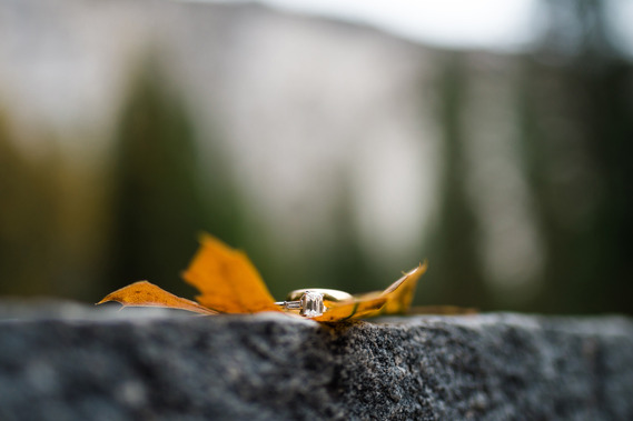 A pair of wedding rings resting on an fallen leaf; the high cliffs of Yosemite National Park rise up in the background