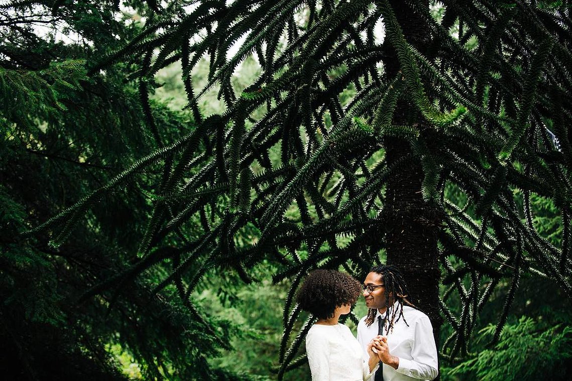 A bride and groom embrace in the shade of a large lush tree; they are surrounded by forest