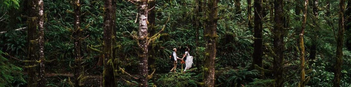 an eloping couple walks through a lush green forest