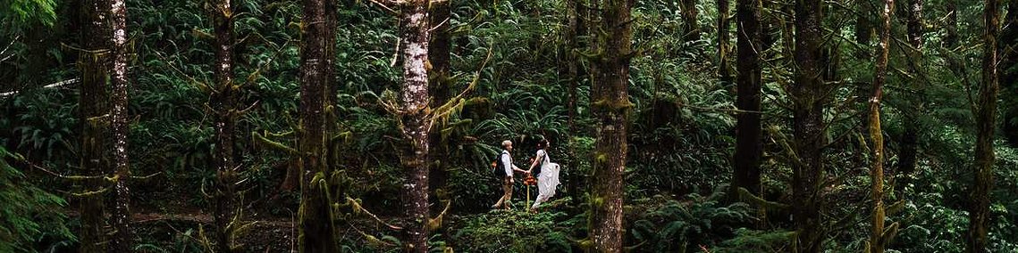 an eloping couple walks through a lush green forest