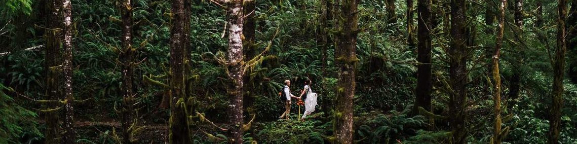 an eloping couple walks through a lush green forest