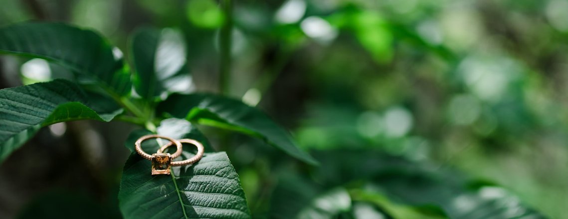 Elopement Photography Packages + Pricing: A pair of wedding rings pictured on a lush green leaf