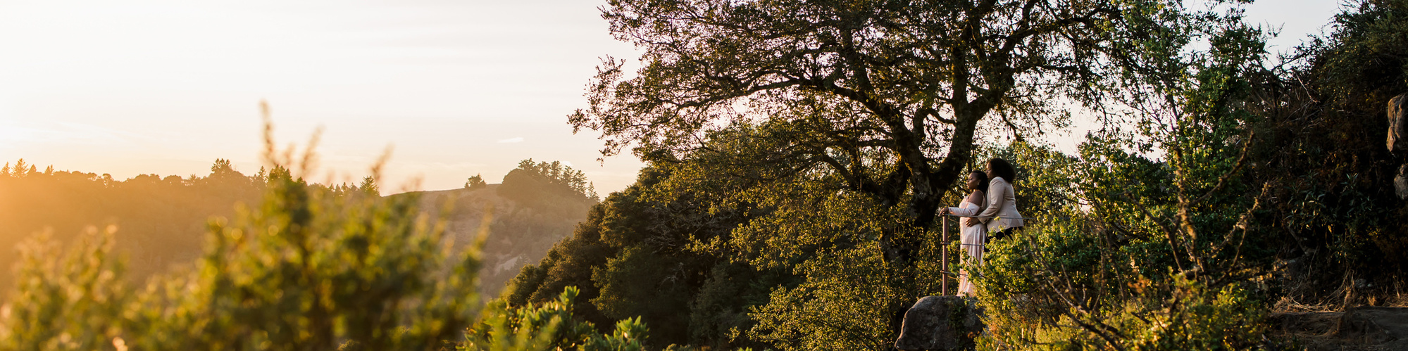 Two brides gaze out at the sunset from their perch atop a rocky viewpoint in the Santa Cruz Mountains