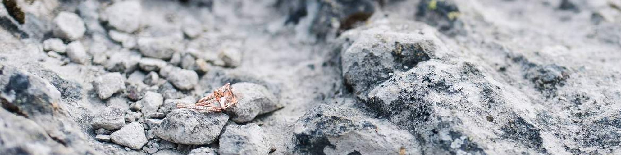 A pair of rose-gold rings glitters against textured white rocks in the Napa County mountains