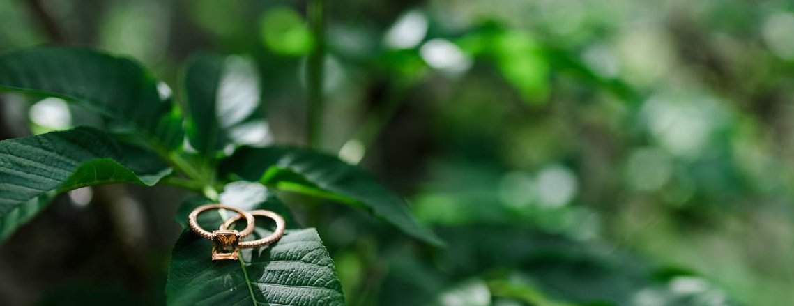 a set of wedding rings glints in the sunlight among verdant spring leaves, hinting at adventure