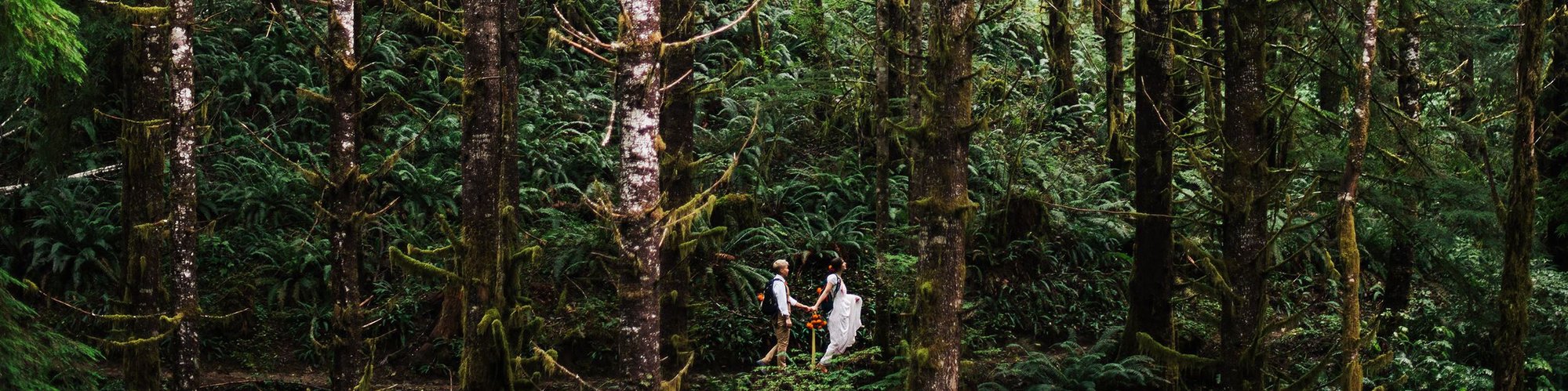An eloping couple walks through a lush and fern-filled forest