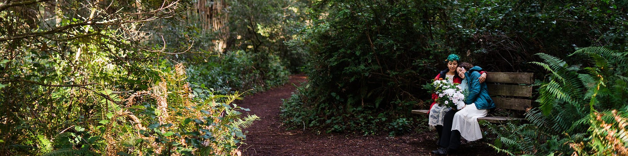 An eloping couple sits on a bench in an ancient redwood forest, snuggling together in their rain jackets and bridal gowns