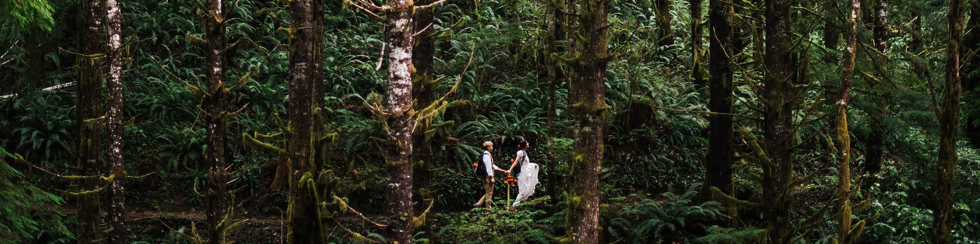 An eloping couple hikes through a deep green forest, the trees towering above them