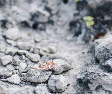 A pair of wedding rings against chalky white rocks