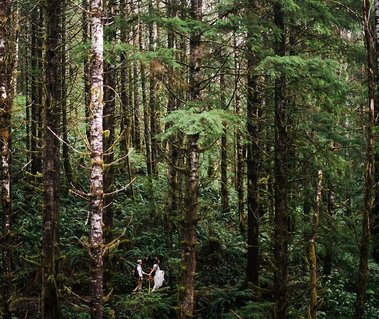 An eloping couple walks through a lush green forest