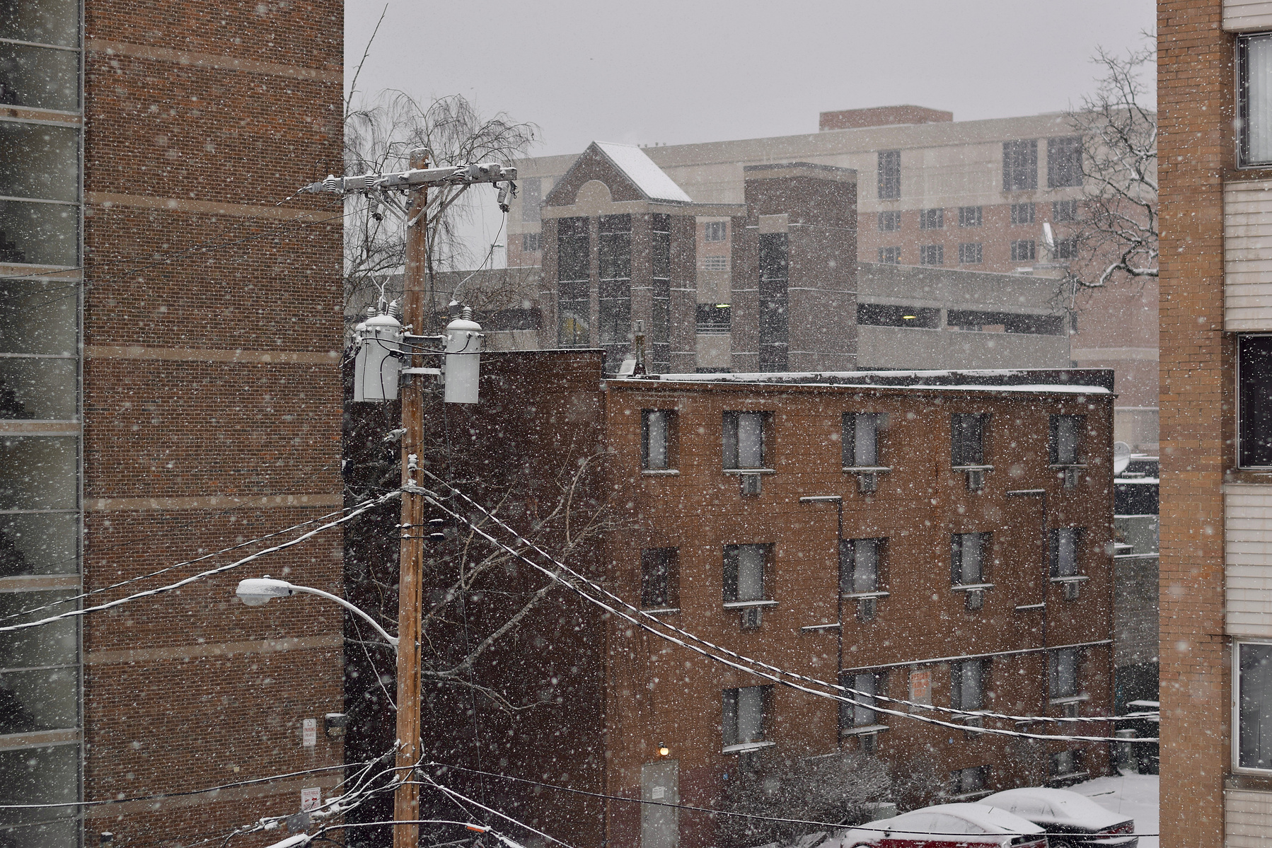 Snow falls among telephone lines and brown brick buildings and begins to cover the ground.