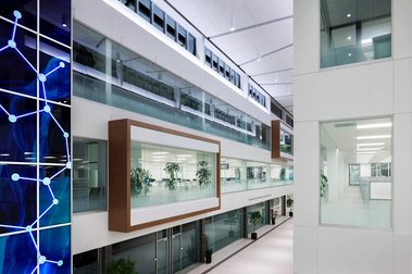 Grand atrium d'un siège social montrant  de grands espaces communs et de nombreuses cloisons vitrées