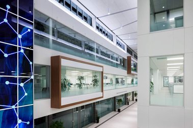 Grand atrium d'un siège social montrant  de grands espaces communs et de nombreuses cloisons vitrées