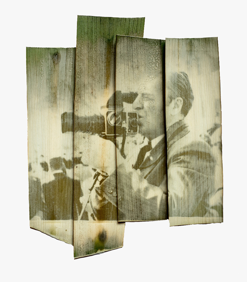 Raina Vlaskovska, chlorophyll print, Yucca glauca, eco prints