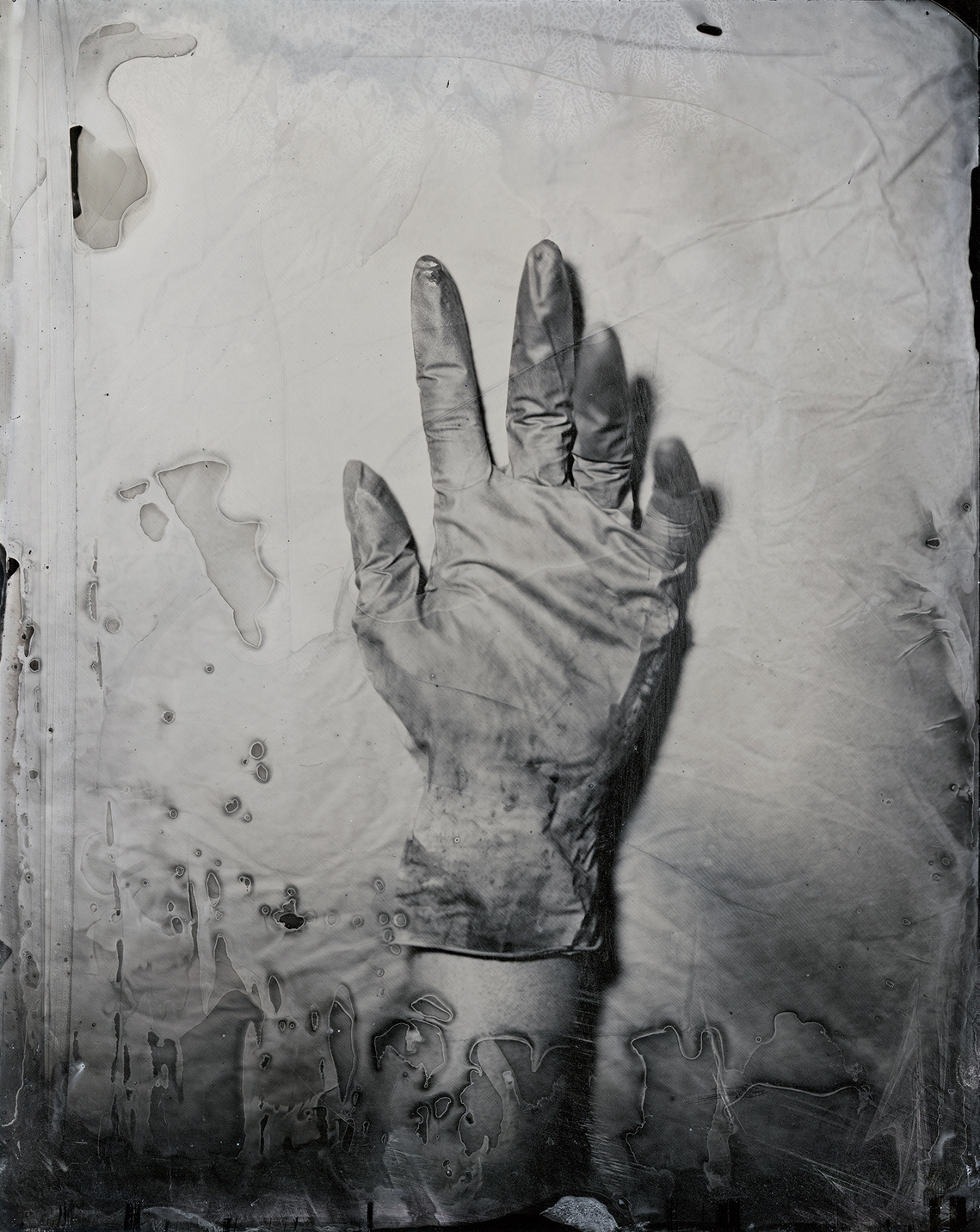  Райна Власковска, Raina Vlaskovska, chemigrams, wet plate portraits, wet plate collodion, 8X10, large format photography, Bergen, Bulgaria