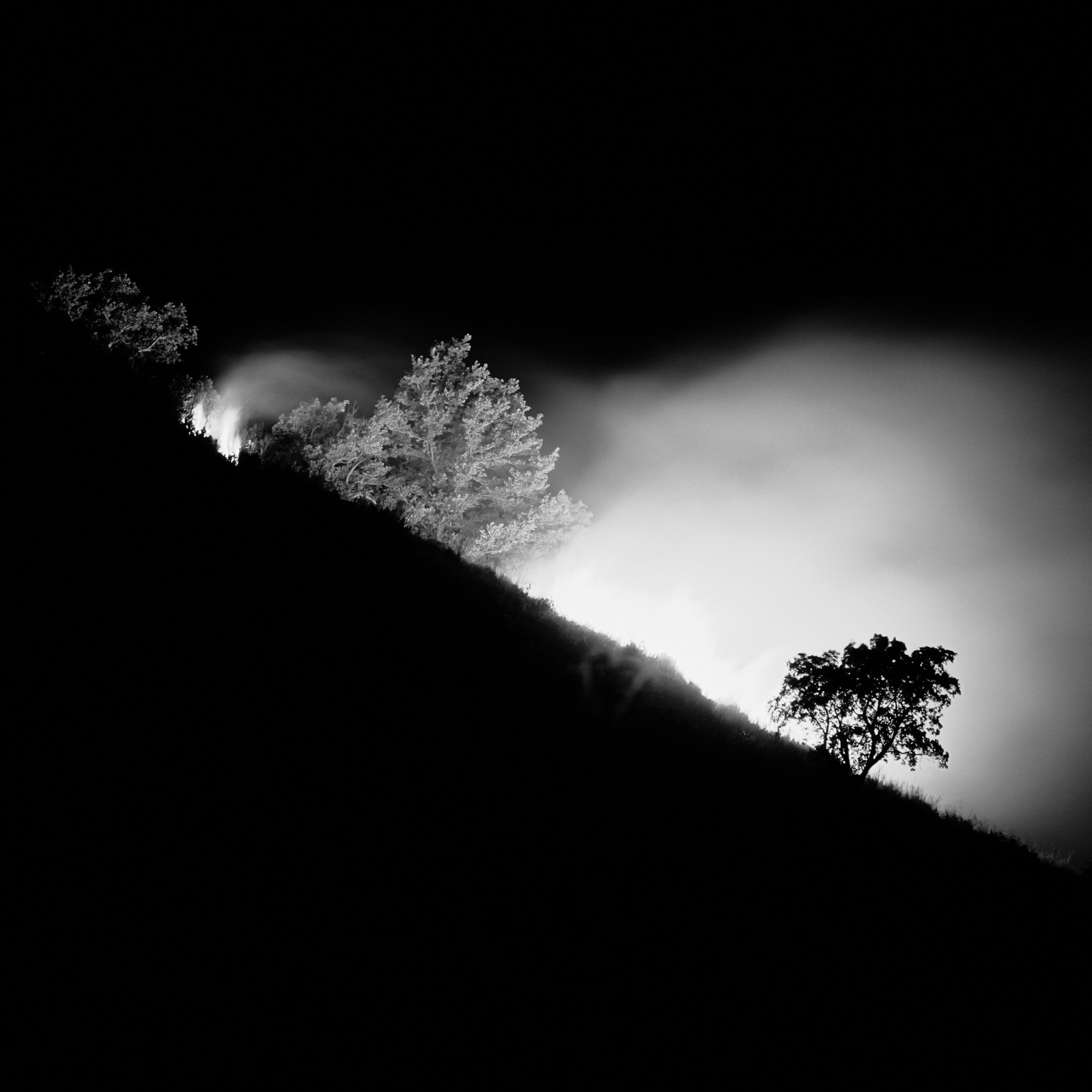 firenight in calabria summer 2021, a long exposure of about 8 seconds in the direction of the approaching fire. Hasselblad500cm,mediumformat,film,fujiprovia100converted