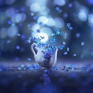 Ashraful Arefin's dreamy blue forget me not flower image