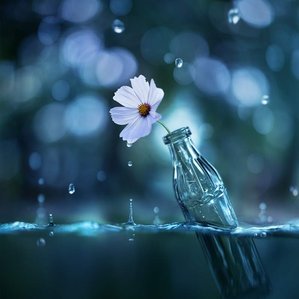 Whimsical dreamy raindrop water underwater still life image storytelling about life and beauty by Ashraful Arefin