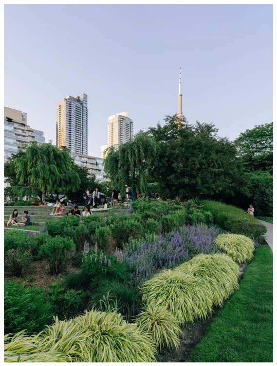 Toronto Music Garden | Photo by Alan Chakota