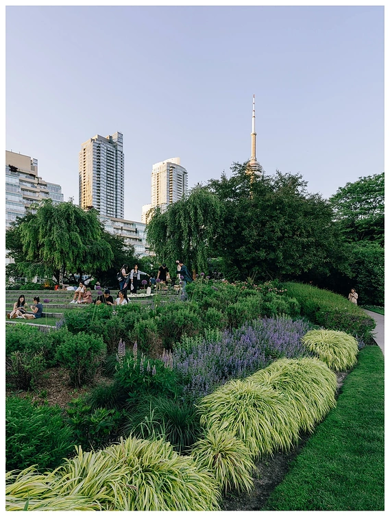 Toronto Music Garden | Photo by Alan Chakota