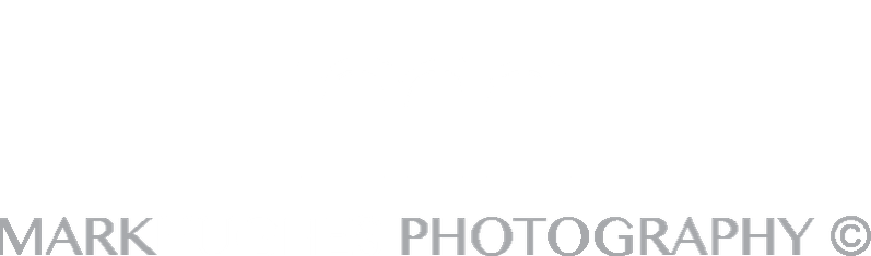 Mark Hughes Photography