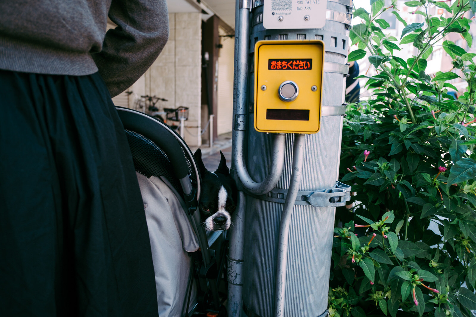 Tokyo, Japan street photography taken on Fujifilm XT3 and 18mm f2.0 lens.