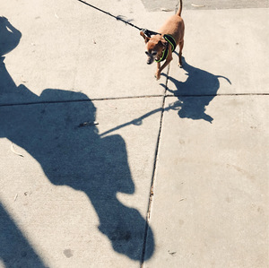 Processed with VSCO with c2 preset