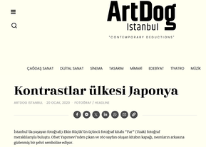 ArtDog Istanbul 