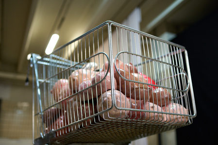 a shopping cart filled with women's breasts at an exhibition in Keskturg symbolizing exploitation of refugee women