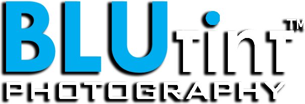 Investment pieces for your ever-expanding portfolio Artistography by Blu 