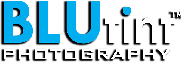 Investment pieces for your ever-expanding portfolio Artistography by Blu 