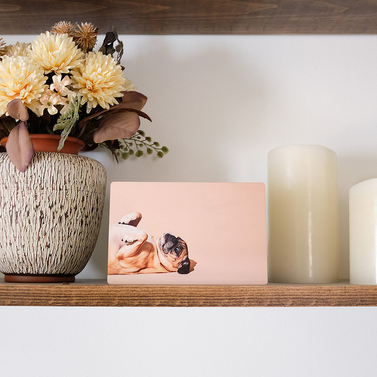 Small photo print of pug beagle dog on a shelf