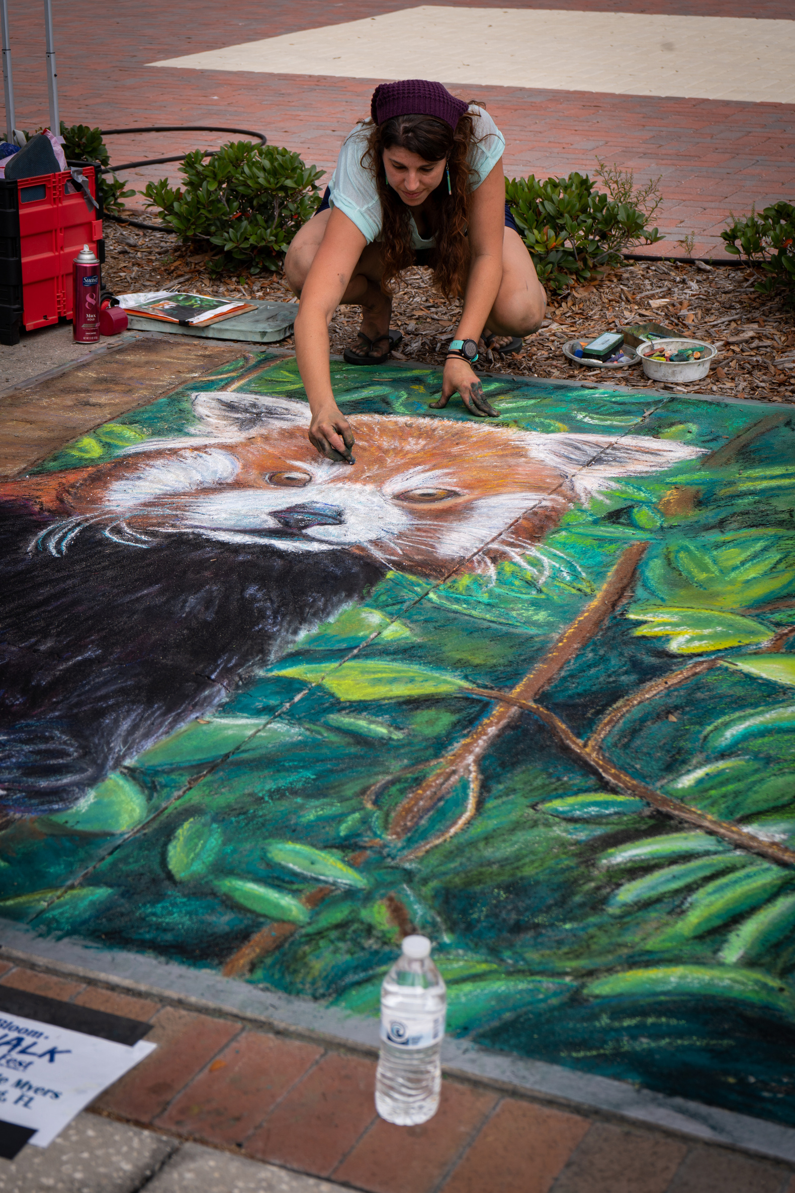 Bloom n chalk festival, Safety Harbor, Florida, annual chalk art festival