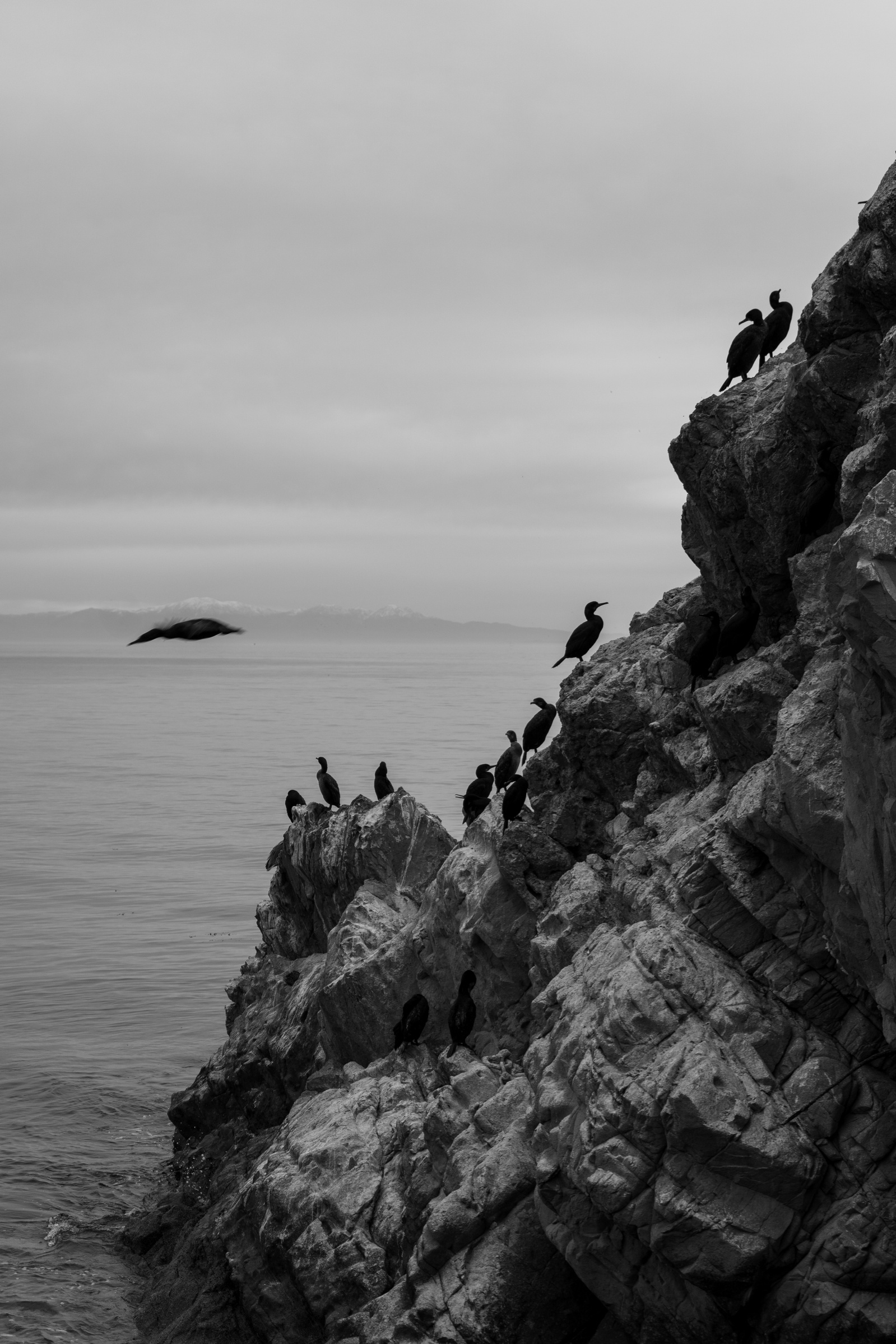 travel photography, Catalina Island, Cali, action photography, street photography