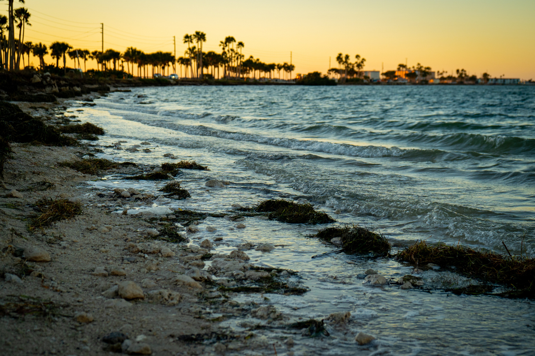landscape photography, florida, dunedin causeway