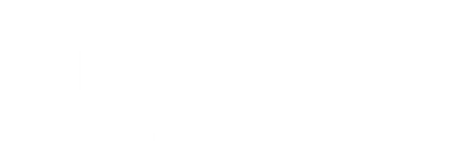 Meta Ape Studios