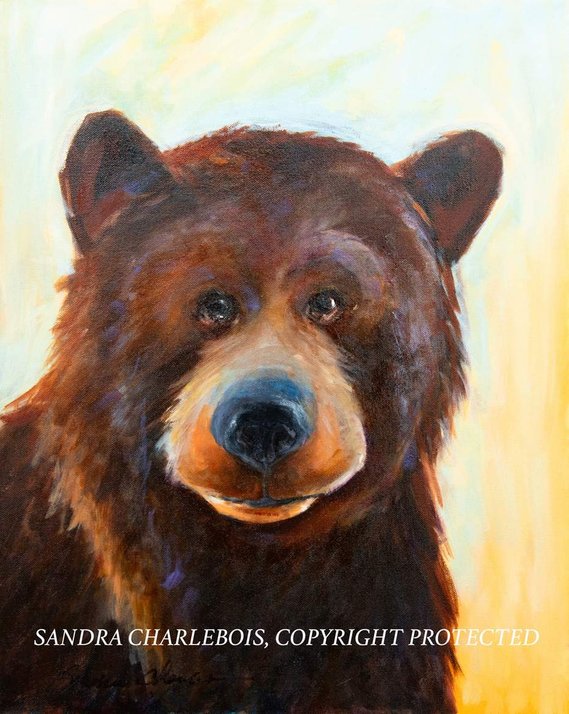 Bear portrait.