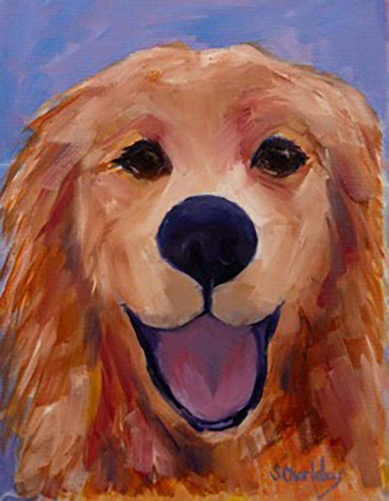 Golden Retriever portrait.