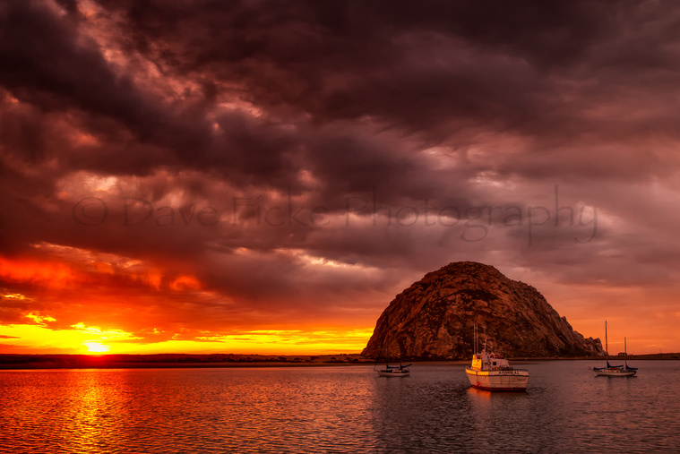 Te Admiral at Morro Bay photo copyright David Ficke
