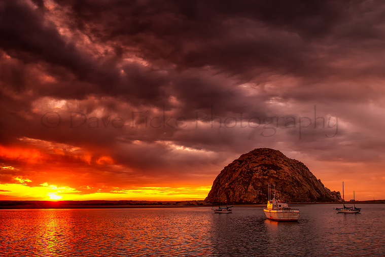 Te Admiral at Morro Bay photo copyright David Ficke