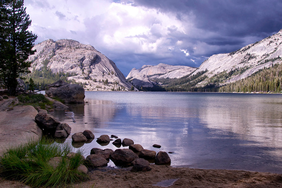 Sierra lake with mountains and pine forest.