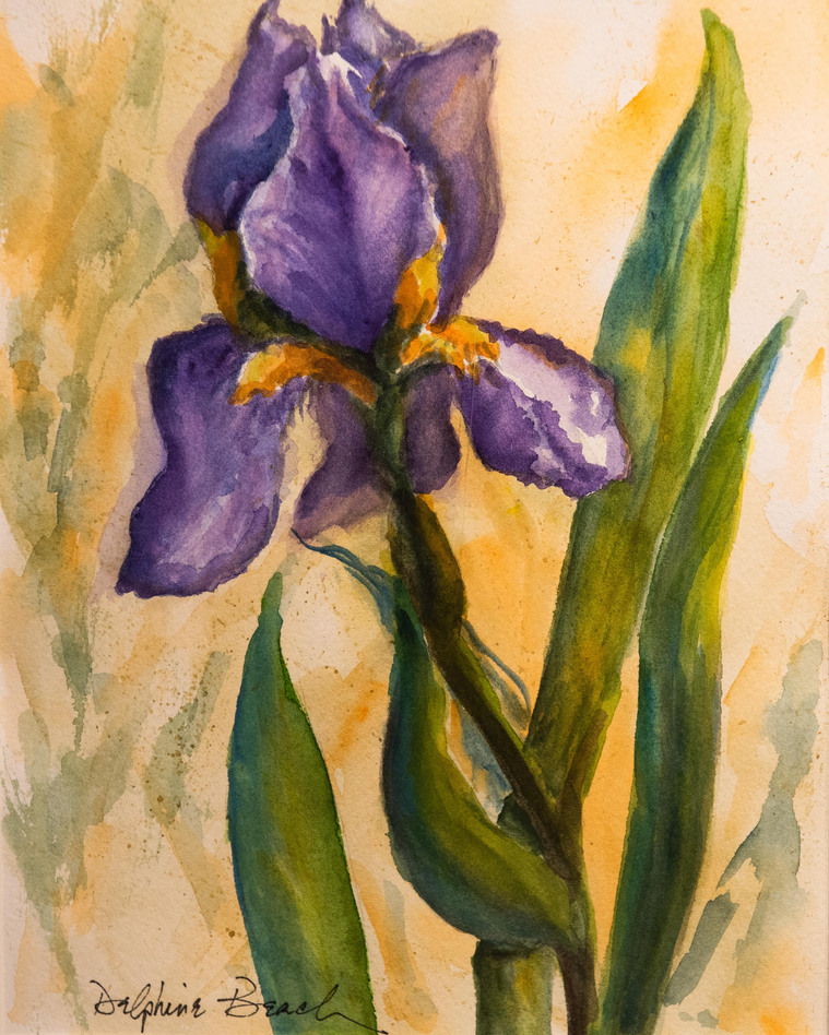 Large purple Iris on orange background.