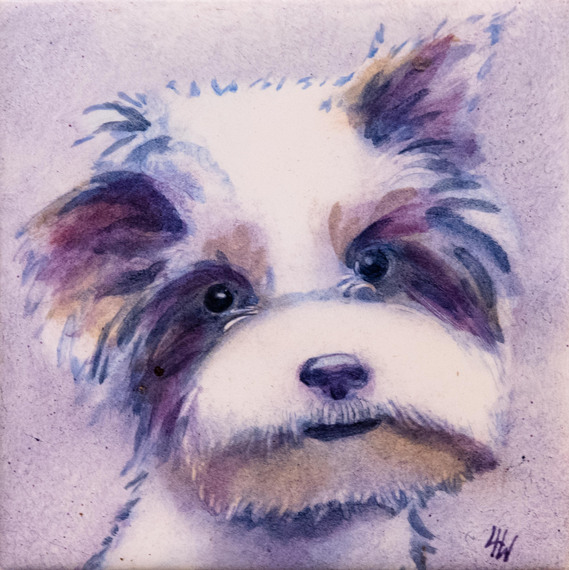 Little Schnauzer portrait on tile.