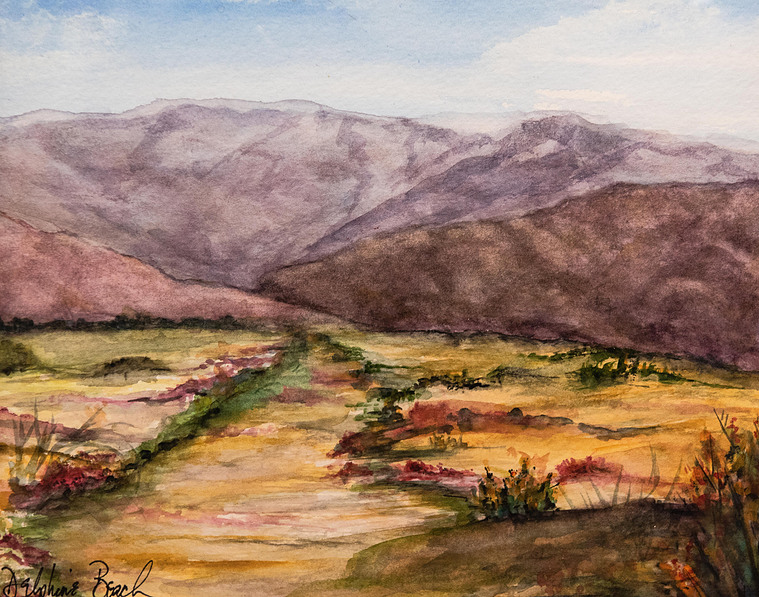 Landscape with mountains and meadows.