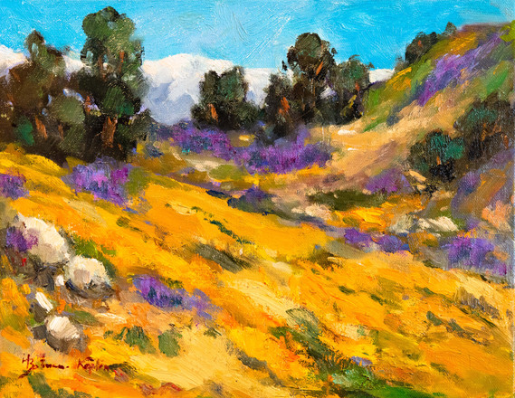 blooming lilacs in the high desert