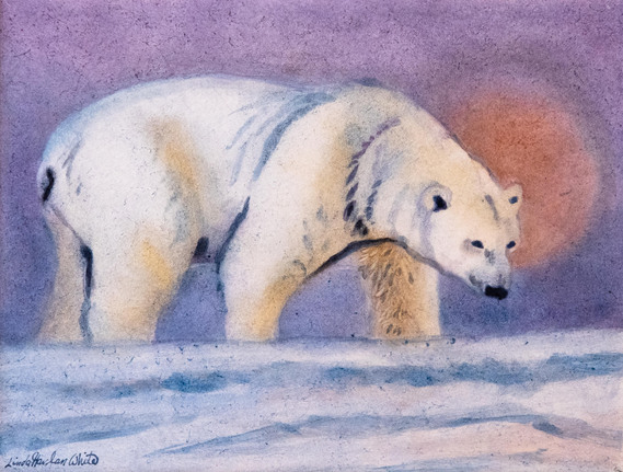 Polar bear hiking through ice.