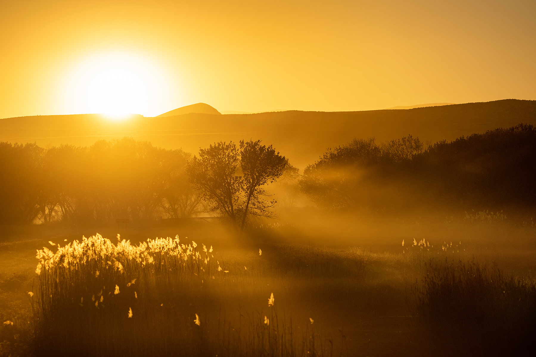 As the vehicles left for the evening, the dust from the road made for a nice atmosphere in the image. 