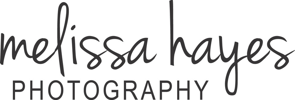 Melissa Hayes's Portfolio