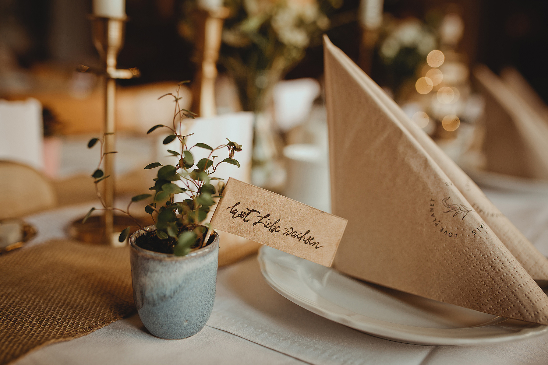 Bei der Hochzeit in Weißenfels gab es kleine Pflanzen als Gastgeschenk. 