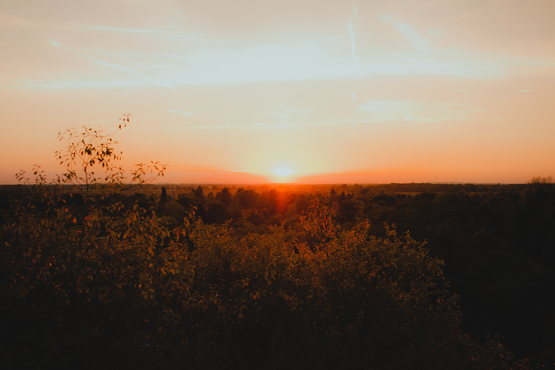 Eine tiefrote Sonne geht über der herbtlichen Landschaft des Berliner Umlands unter.